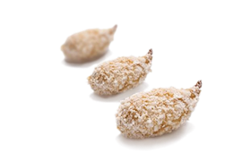 CAMARÃO ENCAPOTADO NA TAPIOCA